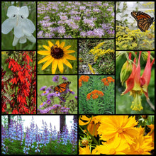 Load image into Gallery viewer, Northeast Native Pollinator Wildflower Mixture