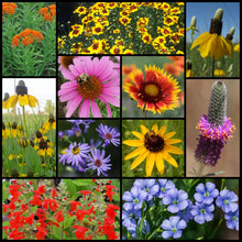 Load image into Gallery viewer, Texas Region Native Pollinator Wildflower Mixture