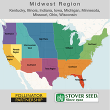 Load image into Gallery viewer, USA map showing the states where the Midwest Native Pollinator Wildflower Mixture will grow: Kentucky, Illinois, Indiana, Iowa, Michigan, Minnesota, Missouri, Ohio, and Wisconsin.