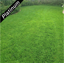 Load image into Gallery viewer, Beautiful lawn featuring 4th Millennium SRP turf-type, tall fescue, Platinum Quality seed.
