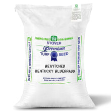 Load image into Gallery viewer, Grass seed bag of Bewitched Kentucky Bluegrass Platinum Quality seed.
