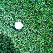 Load image into Gallery viewer, Kentucky bluegrass closeup with a penny for size.