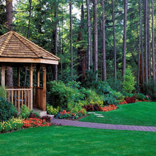Load image into Gallery viewer, SHADY LAWN Grass Seed Mixture (Cool Season Zones 1-3)