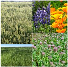 Load image into Gallery viewer, Photo of components in Wildfire Seed Mix #1
