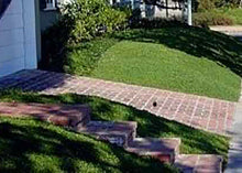 Load image into Gallery viewer, Photo of Dichondra in a residential setting