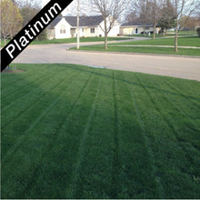 Load image into Gallery viewer, Deep green home lawn, grown from Royal Blue Kentucky bluegrass blend, Platinum Quality lawn seed.
