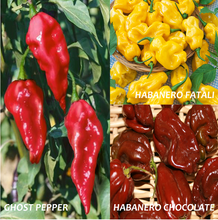 Load image into Gallery viewer, Atomic Peppers Variety Pack        (300 mg)
