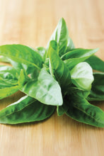 Load image into Gallery viewer, Basil, Sweet Italian 100% Organic  (1 gm)
