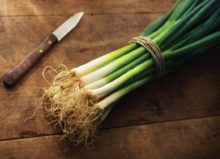 Load image into Gallery viewer, Bunching Onions, Tokyo Long White 100% Organic (1 gm)

