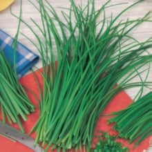 Load image into Gallery viewer, chives
