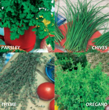 Load image into Gallery viewer, Culinary Herbs Variety Pack       (1.9 gm)
