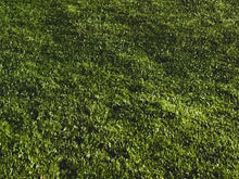 Load image into Gallery viewer, Imperial Blend™ Perennial Ryegrass &amp; Kentucky Bluegrass Mix Platinum Quality

