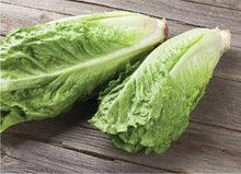 Load image into Gallery viewer, Lettuce, Romaine Parris Island Cos 100% Organic  (1.5 gm)
