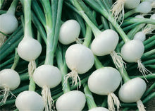 Load image into Gallery viewer, Onion, Crystal White Wax   (500 mg)
