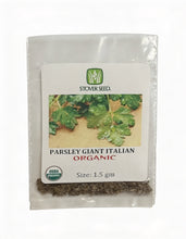 Load image into Gallery viewer, Parsley, Giant Italian 100% Organic  (1.5 gm)
