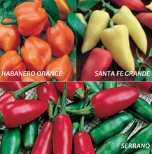 Load image into Gallery viewer, Salsa Peppers Variety Pack     (800 mg)
