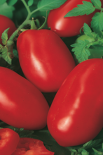 Load image into Gallery viewer, tomato_San_Marzano
