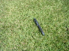 Load image into Gallery viewer, ZENITH ZOYSIA JAPONICA  100% Pure Seed (Warm Season Zones 3-5)
