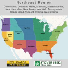 Load image into Gallery viewer, USA map showing the states where the Northeast Native Pollinator Wildflower Mixture will grow: Connecticut, Delaware, Maine, Maryland, Massachusetts, New Hampshire, New Jersey, New York, Pennsylvania, Rhode Island, Vermont, Virginia, and West Virginia.
