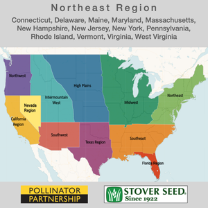 USA map showing the states where the Northeast Native Pollinator Wildflower Mixture will grow: Connecticut, Delaware, Maine, Maryland, Massachusetts, New Hampshire, New Jersey, New York, Pennsylvania, Rhode Island, Vermont, Virginia, and West Virginia.