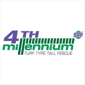 Turf type tall fescue 4th Millennium SRP