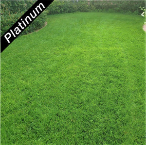 Beautiful lawn featuring 4th Millennium SRP turf-type, tall fescue, Platinum Quality seed.
