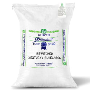 Grass seed bag of Bewitched Kentucky Bluegrass Platinum Quality seed.