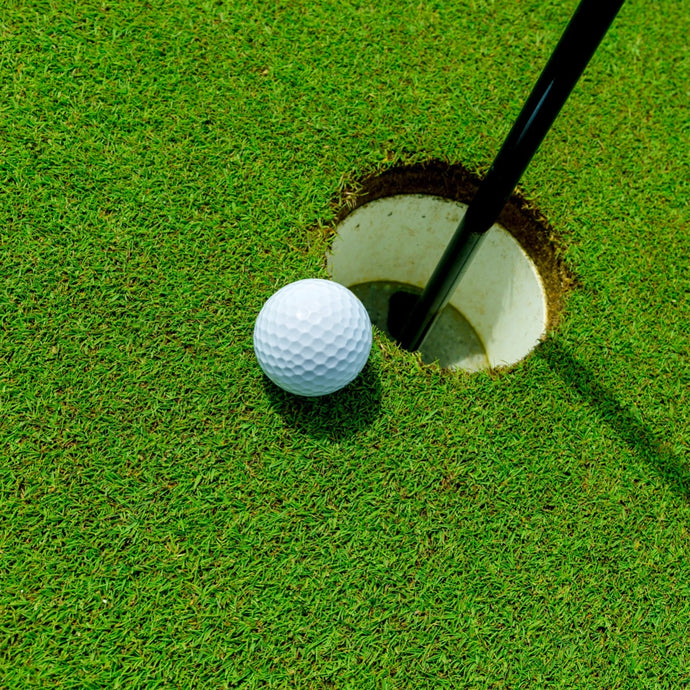 Dominant Plus Creeping Bentgrass Blend in use on a golf course putting green.