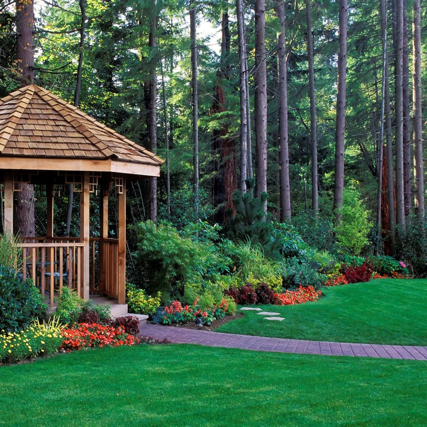planting shade grass seed SHADY LAWN Grass Seed Mixture (Cool Season Zones 1-3)