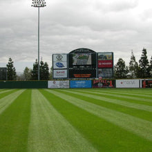 Load image into Gallery viewer, Grand Slam Perennial Ryegrass Blend used on professional sports field
