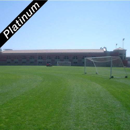 Soccer sports field grown from Bewitched Kentucky bluegrass Platinum Quality turf grass seed.