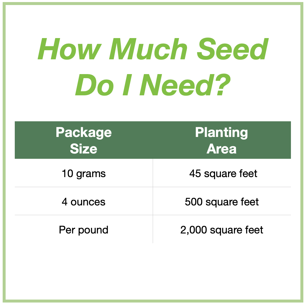 desert wildflower seeds Southwest Desert Wildflower Mixture