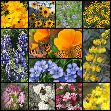 Load image into Gallery viewer, Northwest Native Pollinator Wildflower Mixture
